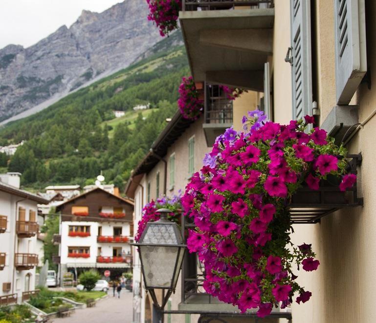 Meuble Albergo Dante Bormio Dış mekan fotoğraf